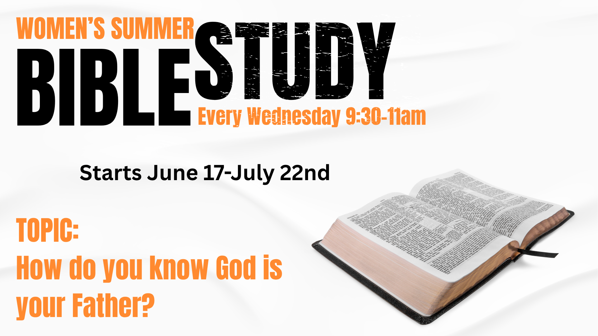 Summer Bible Study
